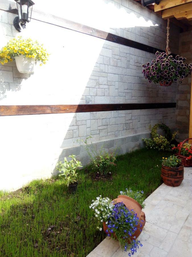 Rose Valley Guest House カザンラク エクステリア 写真